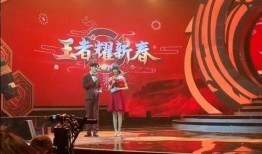 王者瓶子爆料视频,揭秘游戏幕后精彩瞬间