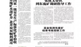 年度盛典爆料新闻稿件范文,精彩瞬间与幕后故事大揭秘